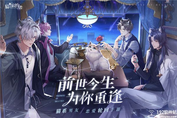 猫之宿约者