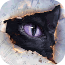 黑猫奇闻社官服 v0.20.6安卓版