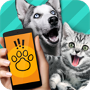 pet translator宠物对话翻译器 v1.1安卓版