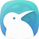 kiwi浏览器官方版