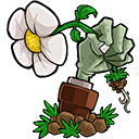 植物大战僵尸e版支线破解版