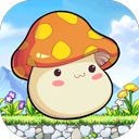 冒险岛联盟的意志手游 v1.0.1安卓版