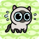 冒险猫抖音手游 v1安卓版