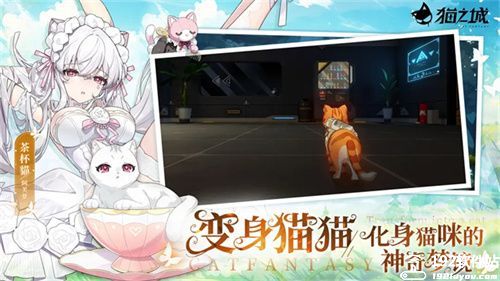 猫之城内购版
